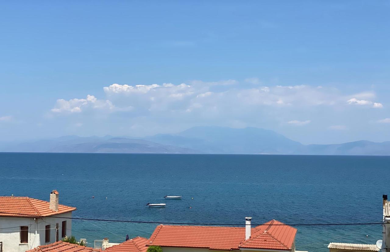 Ninemia Luxury Apartment